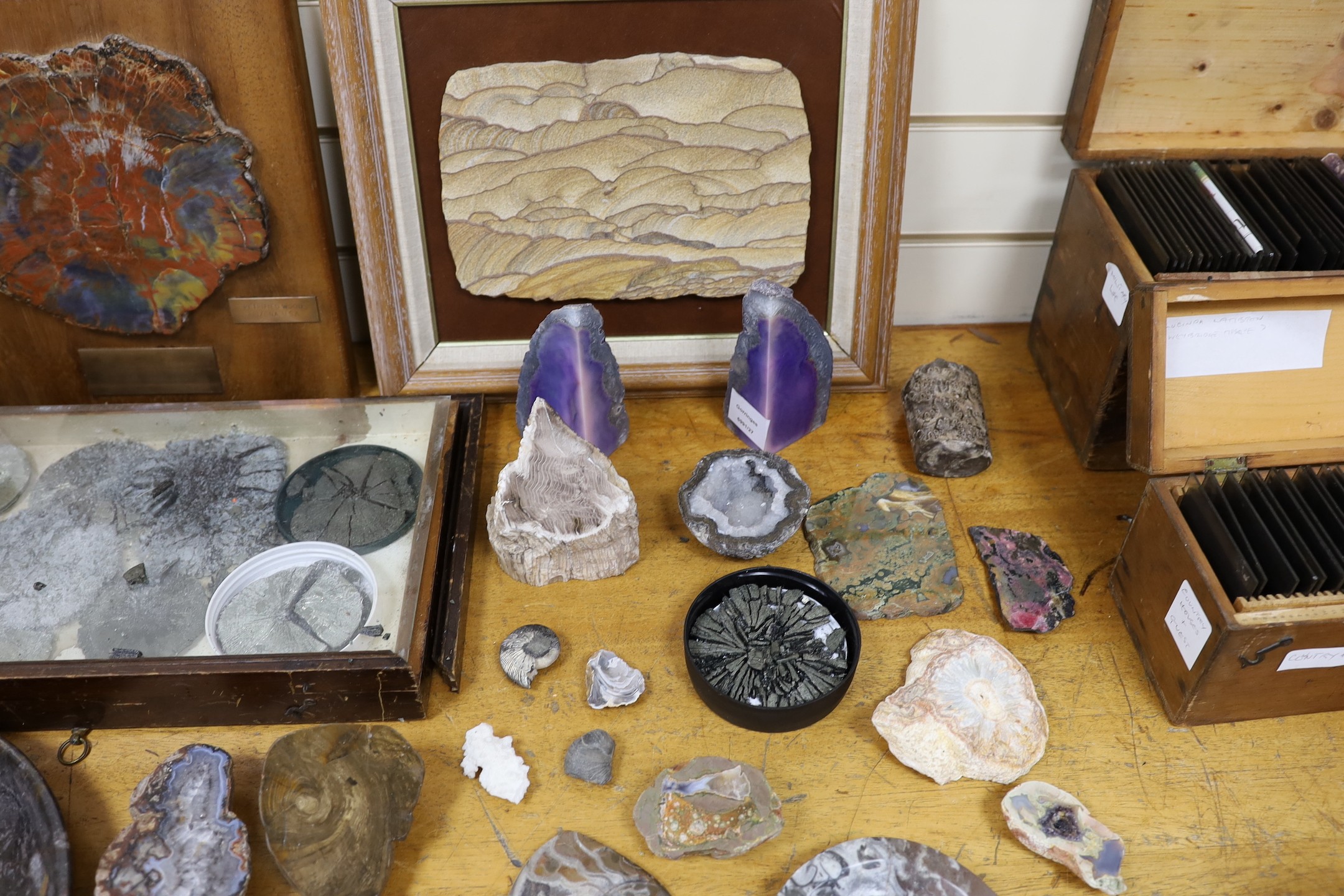 An interesting collection of fossils, polished marble, petrified wood etc.